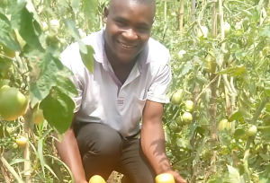 Mathieu Ushindi is a farmer who learned new skills and practices to help with his tomato garden.