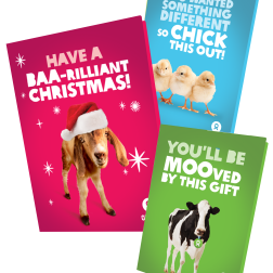 Image of our Animal bundle unwrapped cards. 3 cards, one red with a goat with a Christmas hat "have a BRAA-rilliant christmas!", a cow card "You'll be MOOved by this gift" and the last one features 3 chicks "you wanted something different so chick this out!"